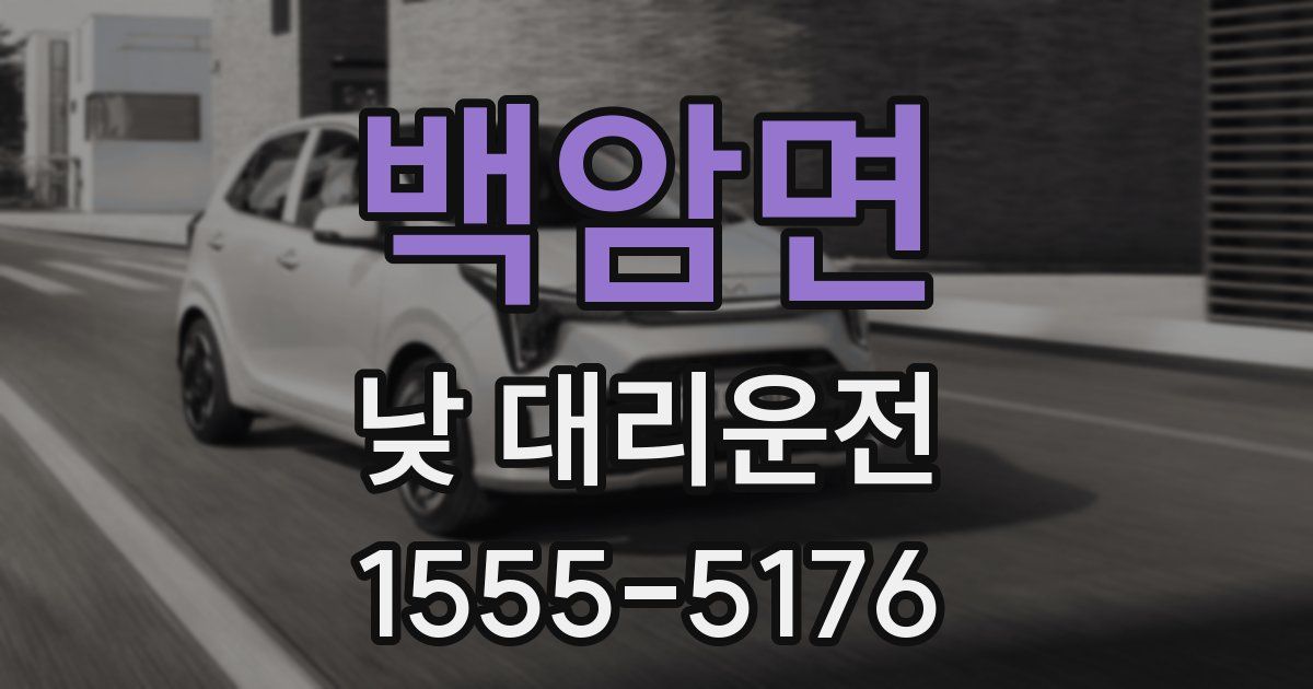 백암면 낮 대리운전