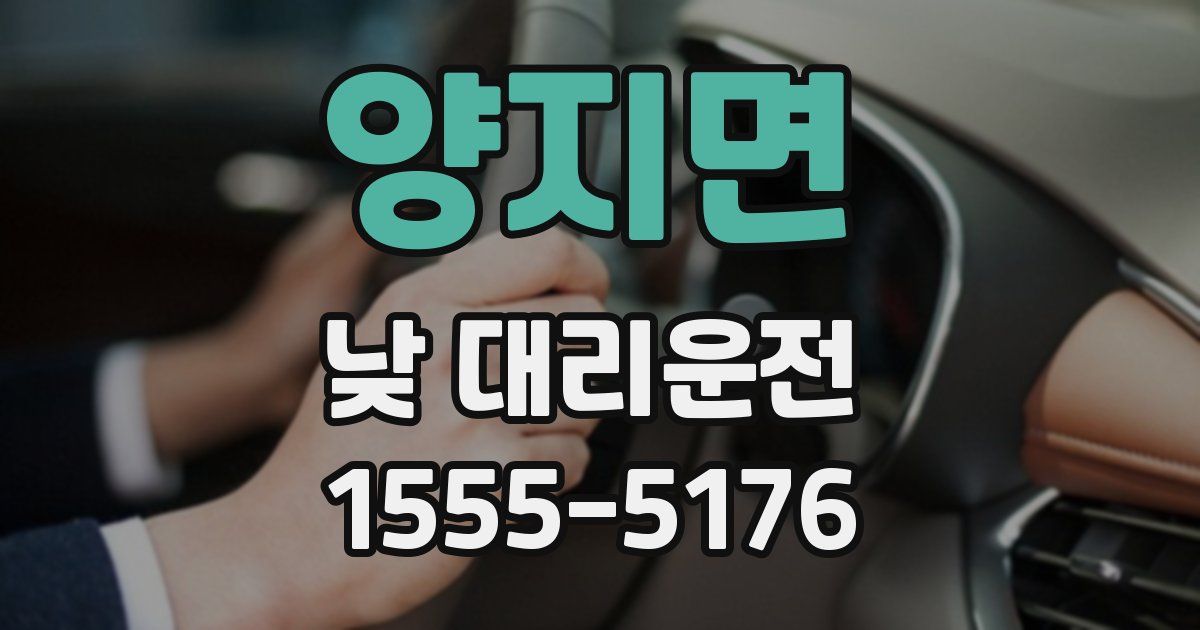 양지면 낮 대리운전