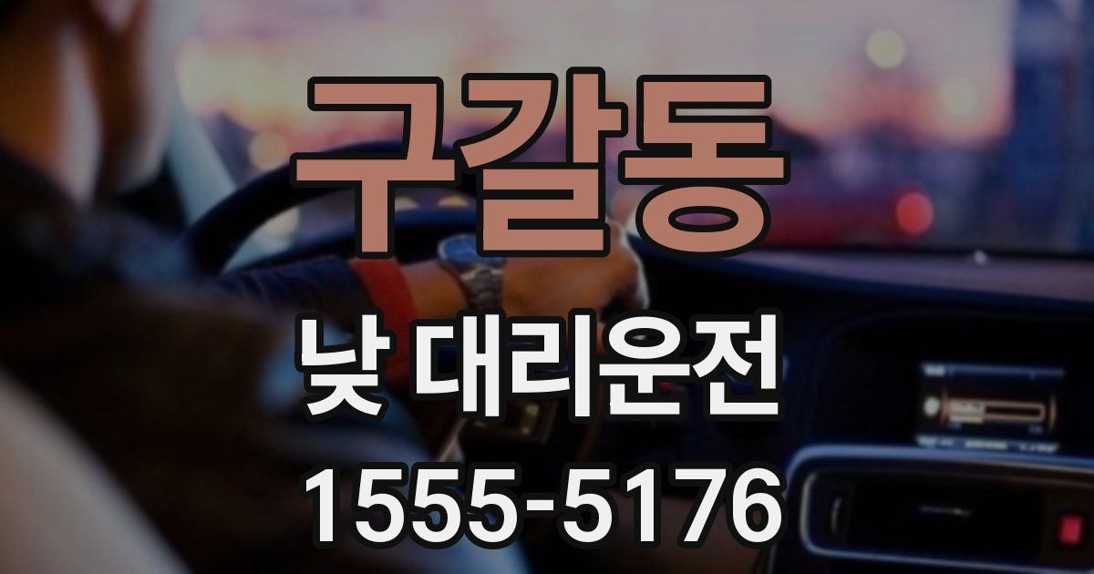 구갈동 낮 대리운전