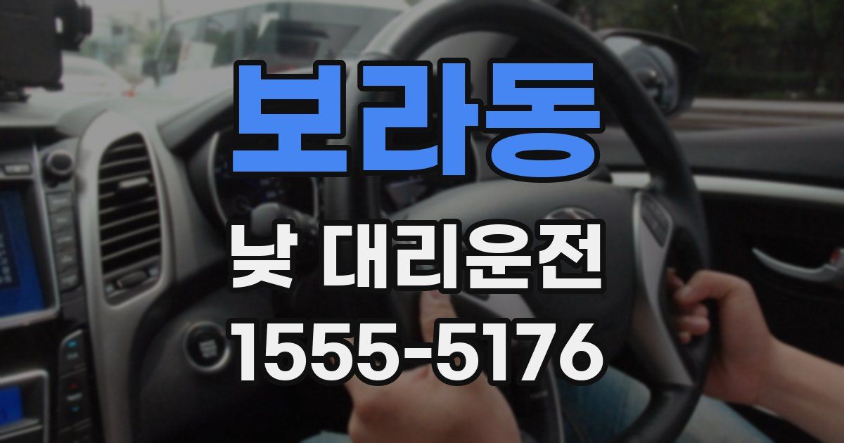보라동 낮 대리운전