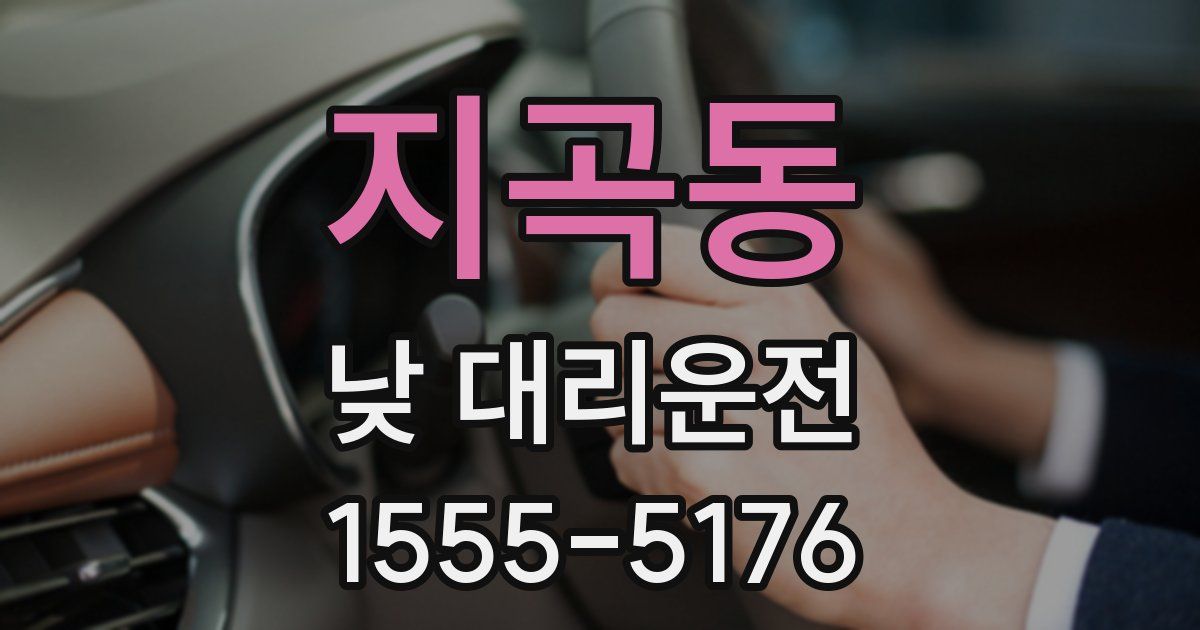 지곡동 낮 대리운전