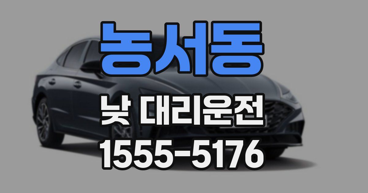 농서동 낮 대리운전