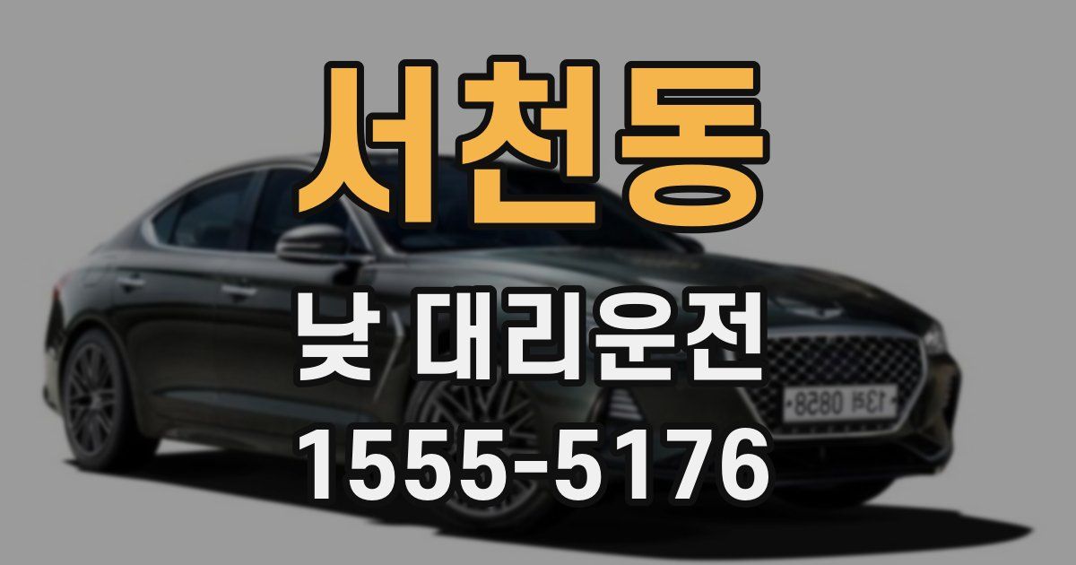 서천동 낮 대리운전
