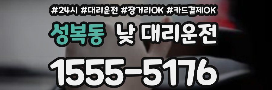 성복동 낮 대리운전