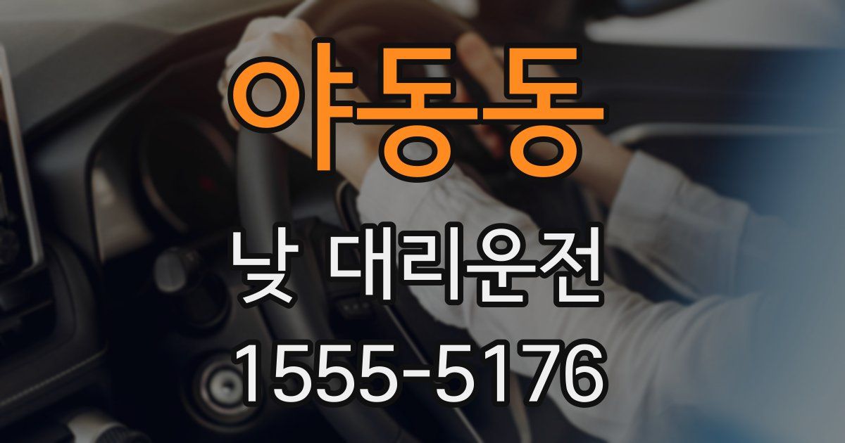 야동동 낮 대리운전