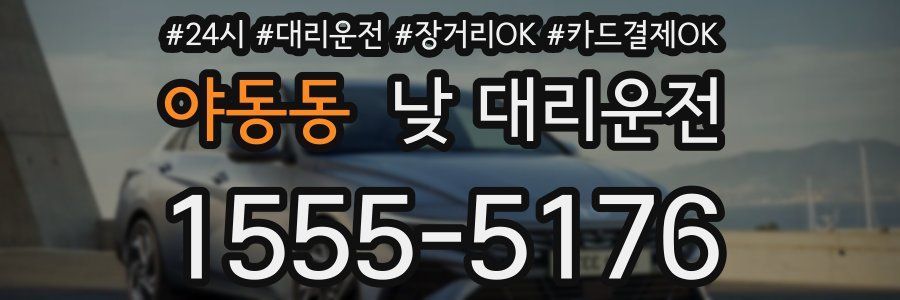 야동동 낮 대리운전