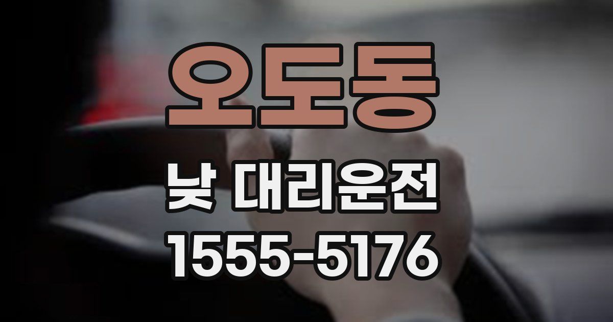 오도동 낮 대리운전
