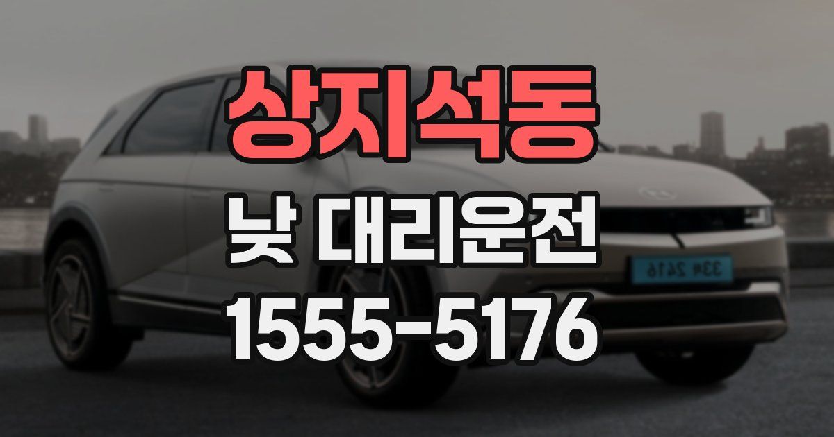 상지석동 낮 대리운전