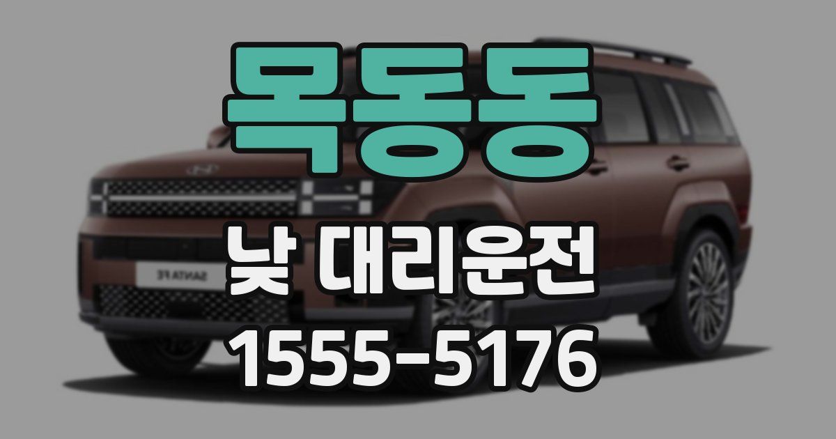 목동동 낮 대리운전