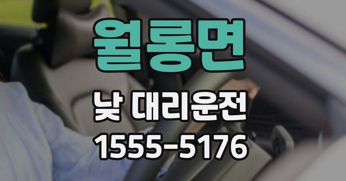 월롱면 낮 대리운전