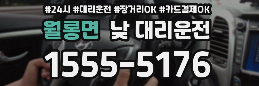 월롱면 낮 대리운전