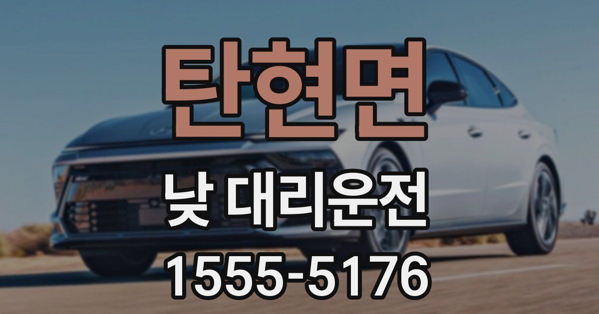 탄현면 낮 대리운전