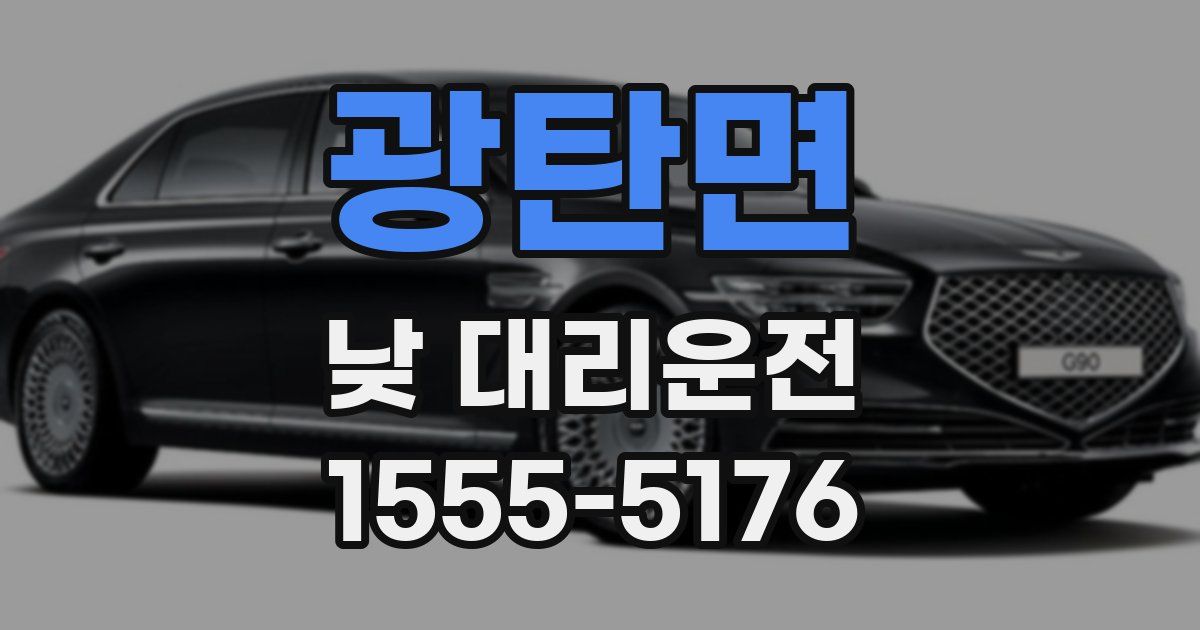 광탄면 낮 대리운전