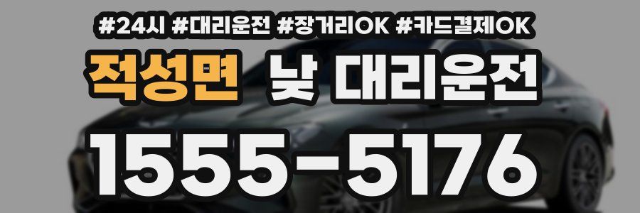 적성면 낮 대리운전