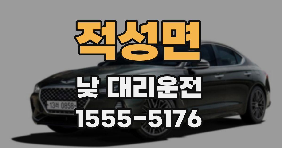 적성면 낮 대리운전