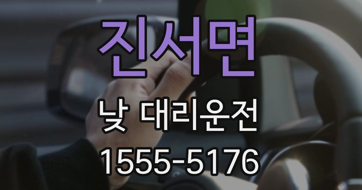 진서면 낮 대리운전