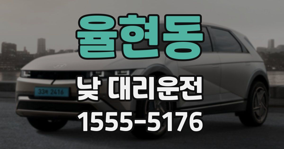 율현동 낮 대리운전