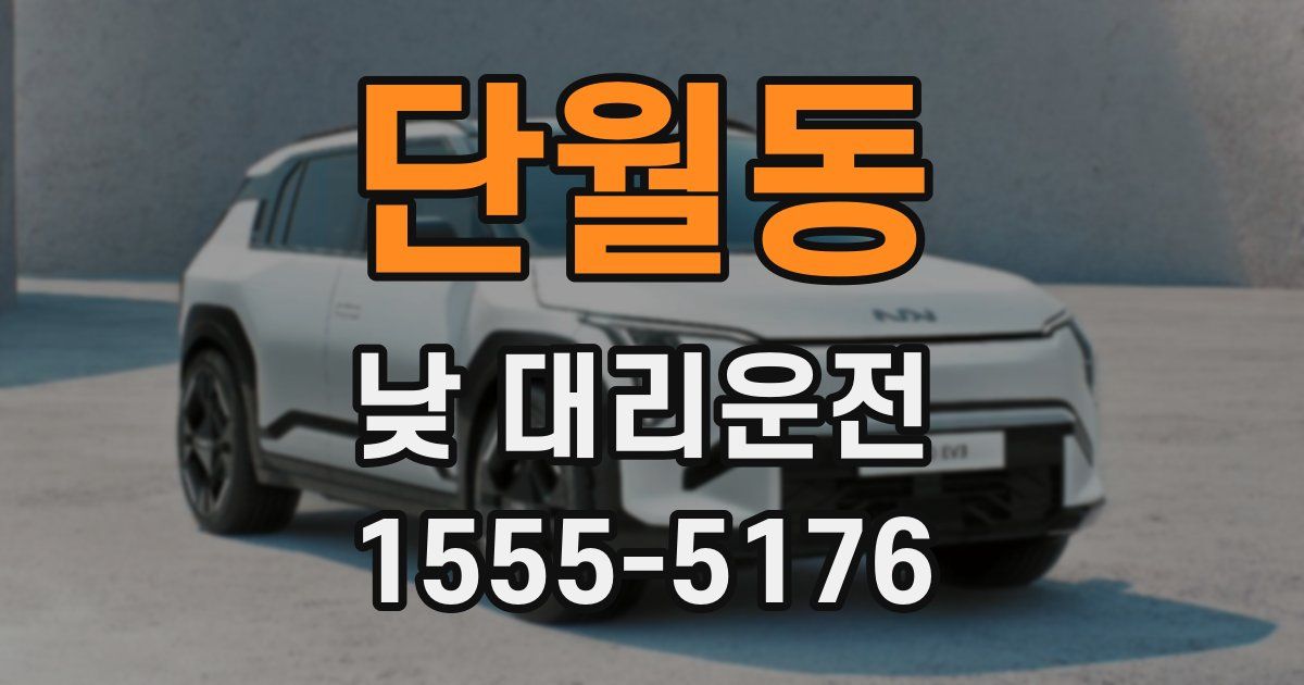 단월동 낮 대리운전