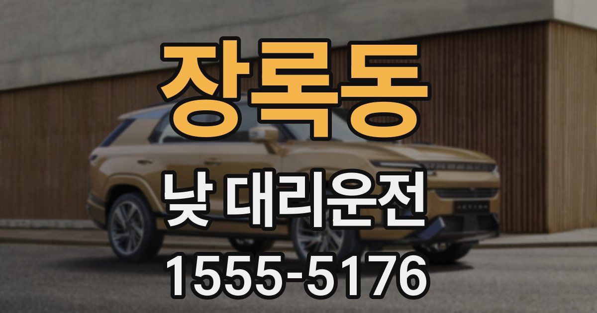 장록동 낮 대리운전