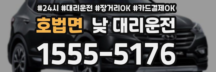 호법면 낮 대리운전