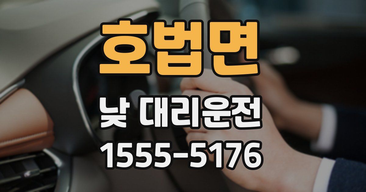 호법면 낮 대리운전