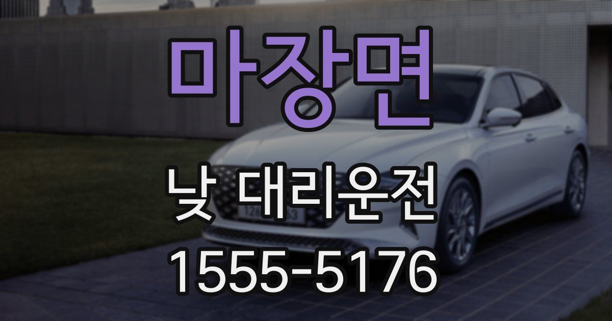 마장면 낮 대리운전