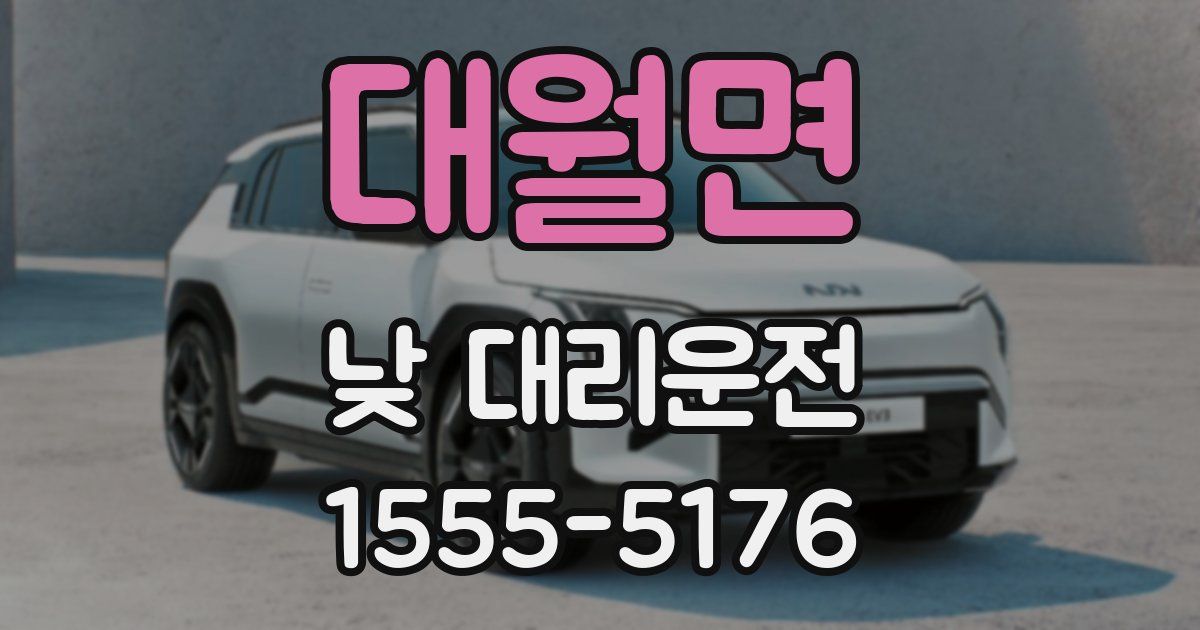 대월면 낮 대리운전