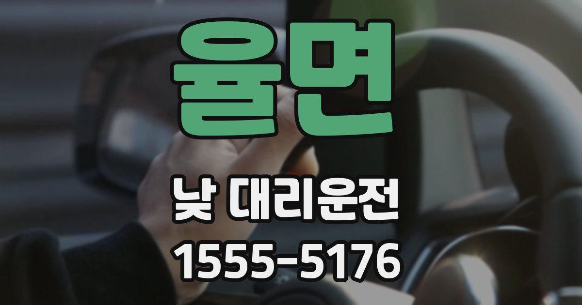 율면 낮 대리운전