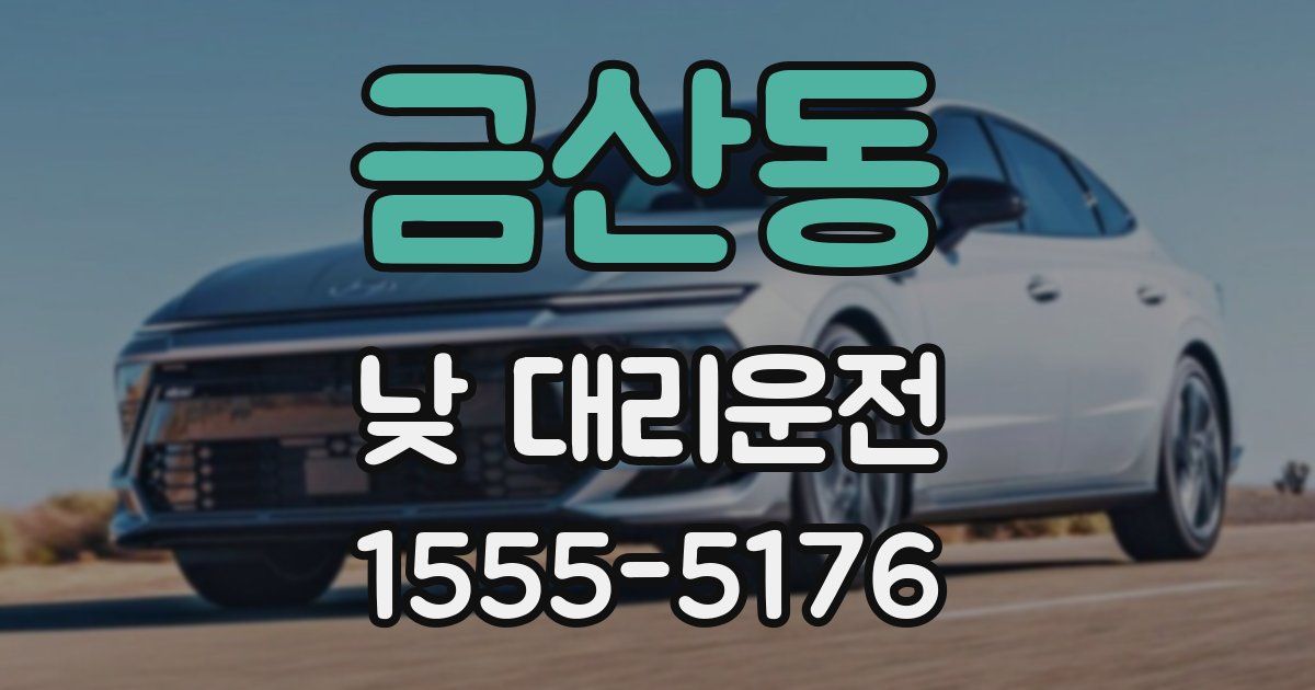 금산동 낮 대리운전