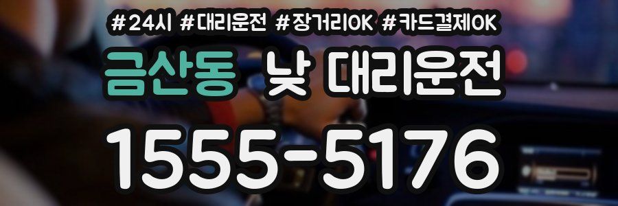 금산동 낮 대리운전
