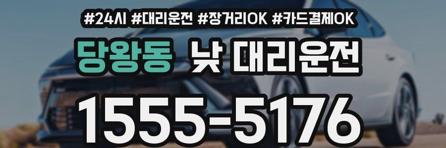당왕동 낮 대리운전