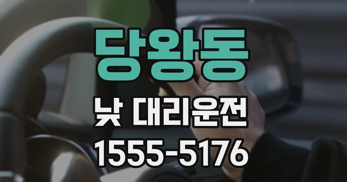 당왕동 낮 대리운전