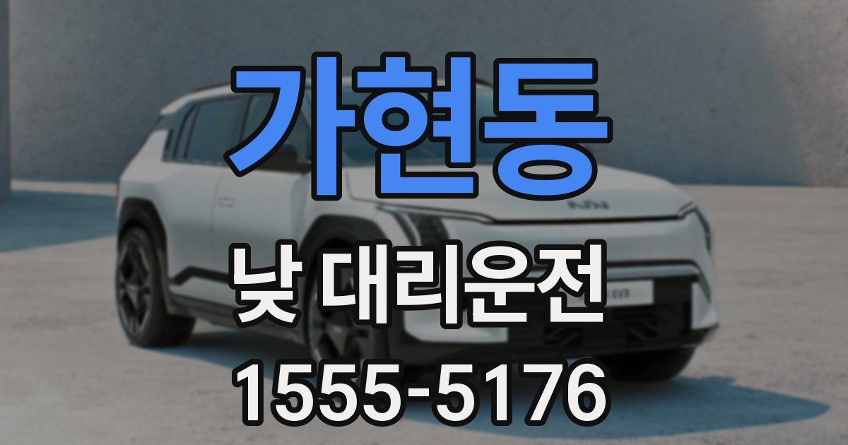 가현동 낮 대리운전
