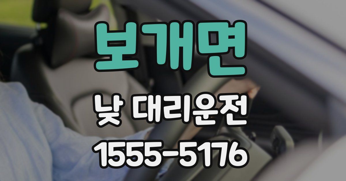 보개면 낮 대리운전