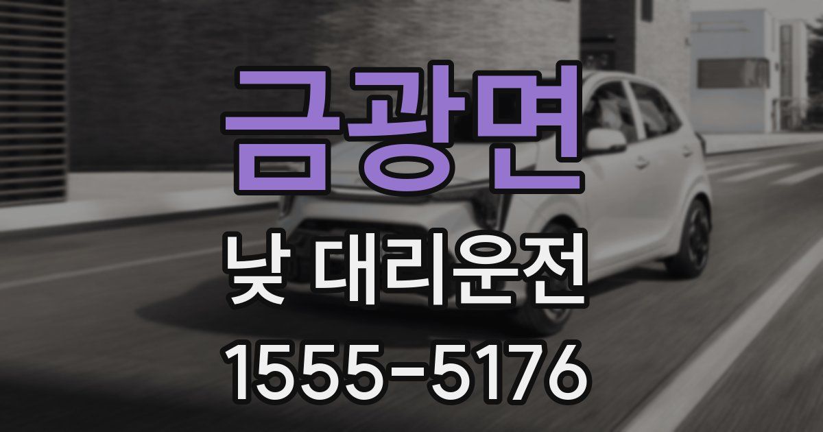 금광면 낮 대리운전