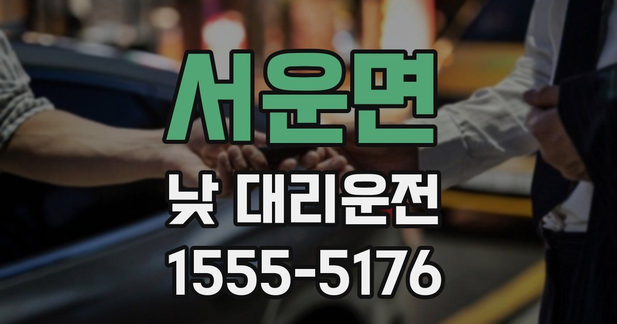 서운면 낮 대리운전