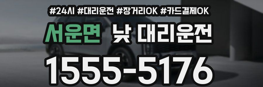 서운면 낮 대리운전