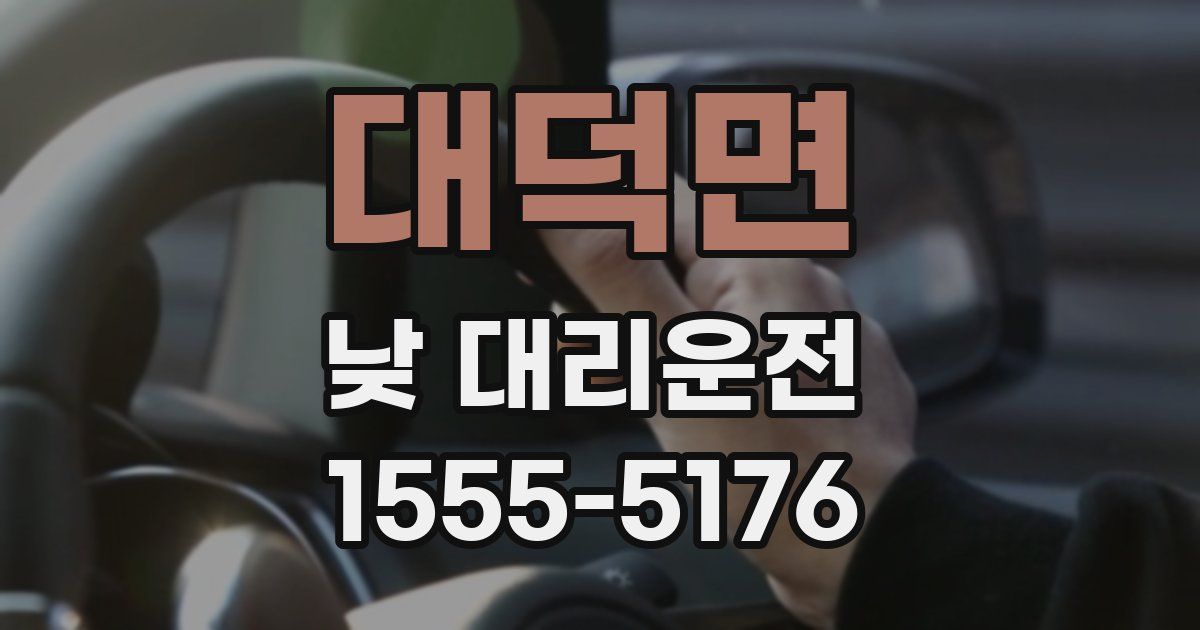 대덕면 낮 대리운전