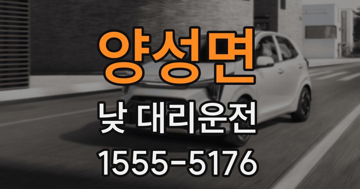 양성면 낮 대리운전