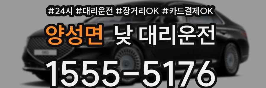 양성면 낮 대리운전