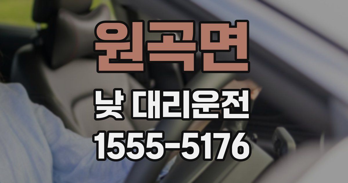 원곡면 낮 대리운전
