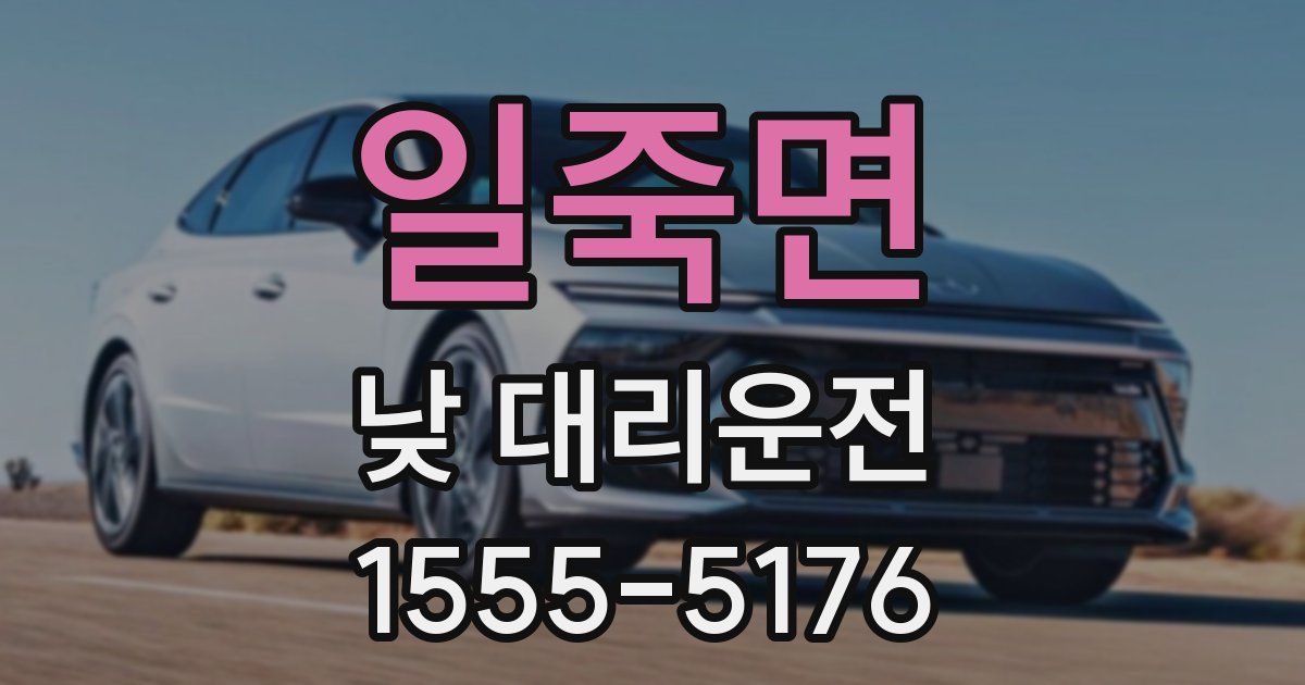일죽면 낮 대리운전