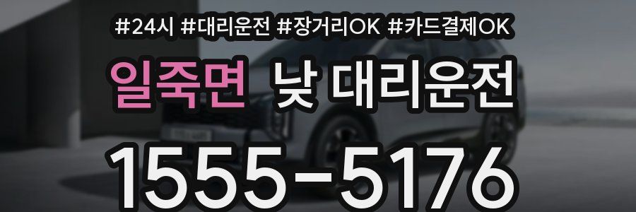 일죽면 낮 대리운전