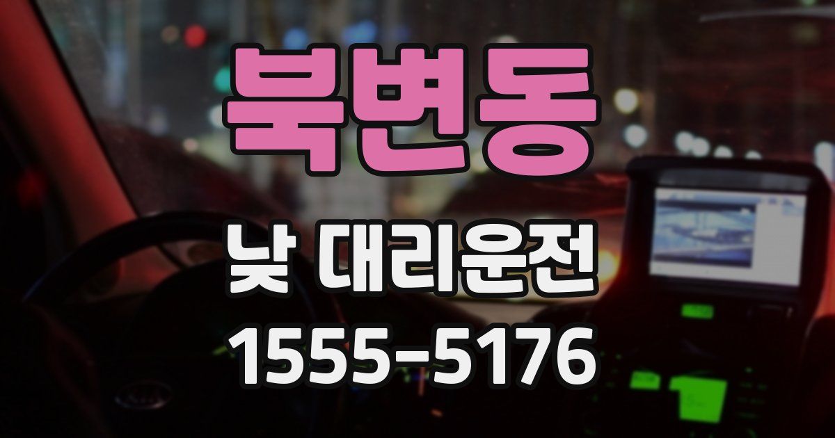 북변동 낮 대리운전