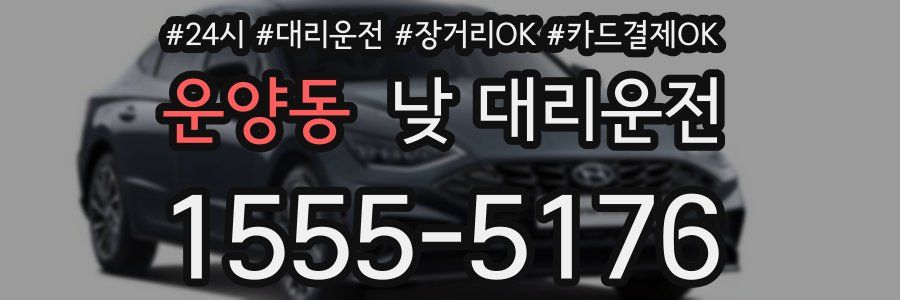 운양동 낮 대리운전