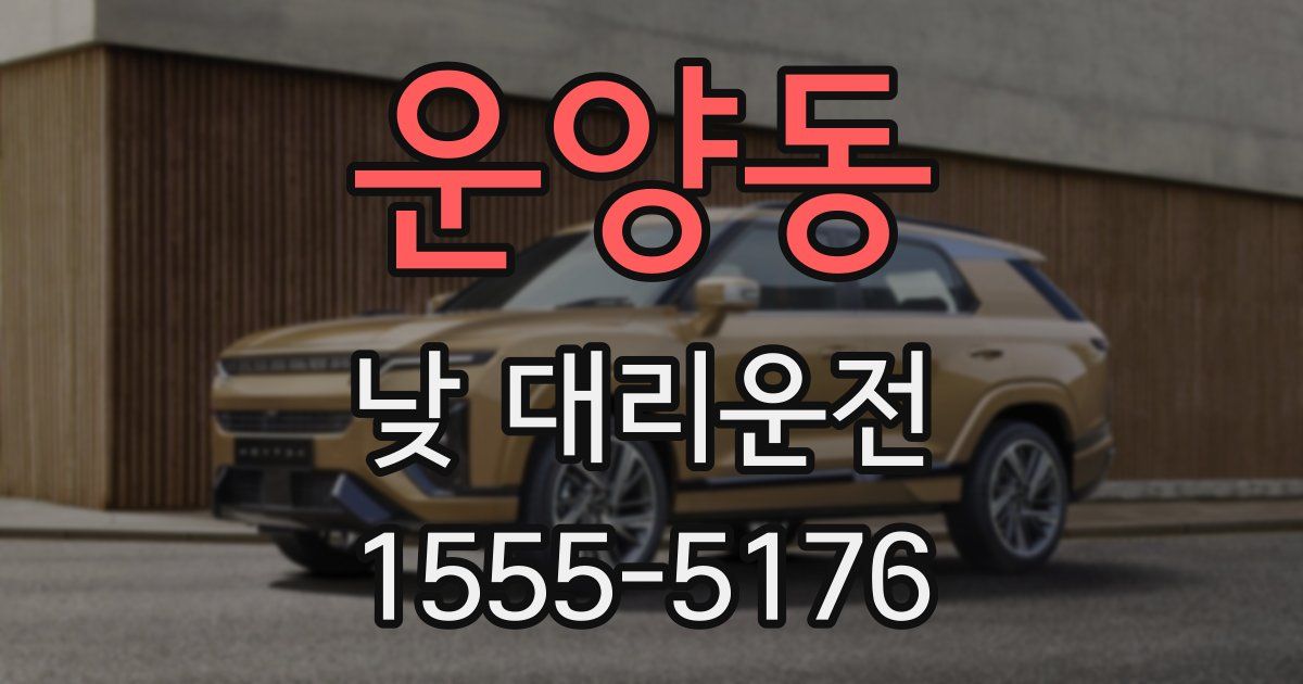 운양동 낮 대리운전