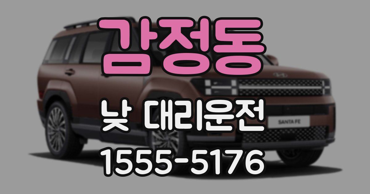 감정동 낮 대리운전
