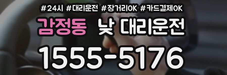감정동 낮 대리운전
