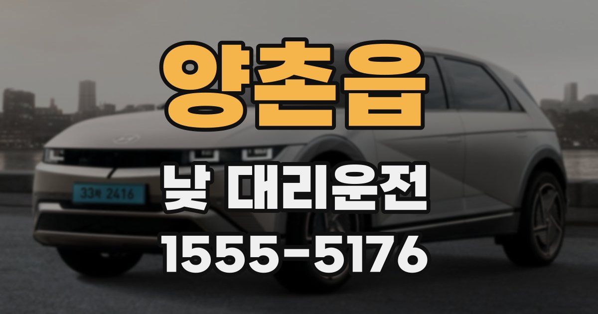 양촌읍 낮 대리운전