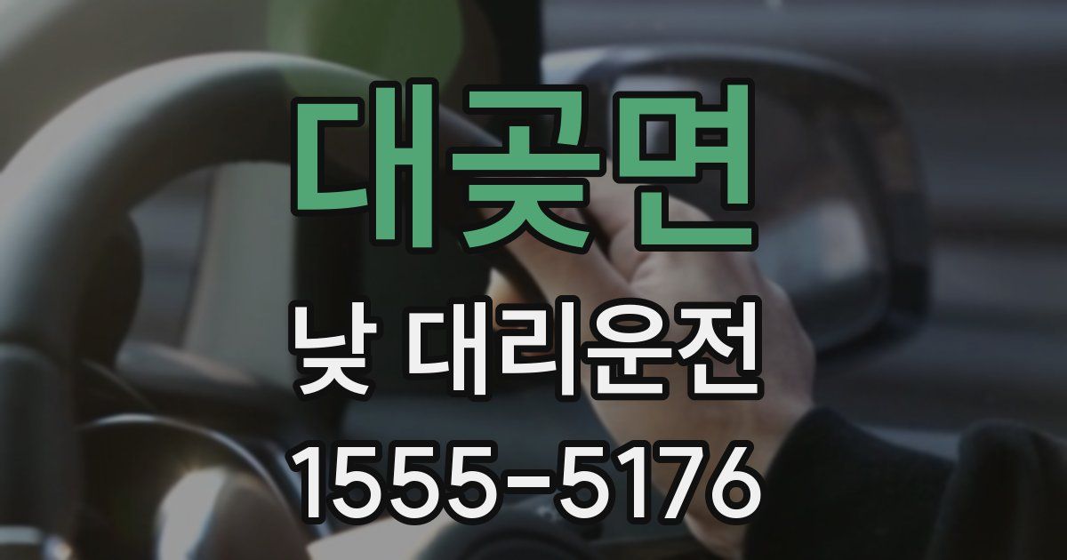 대곶면 낮 대리운전
